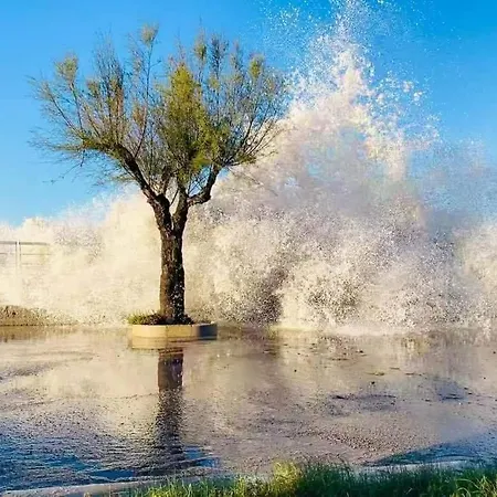 Isoladino Sweet Oda ve Kahvaltı