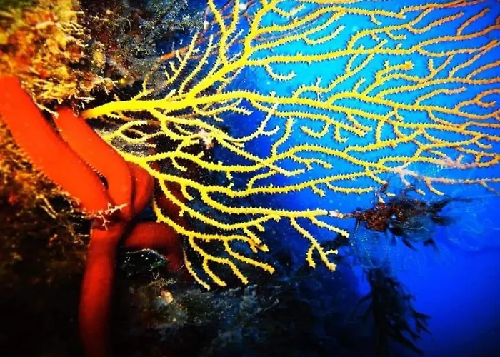 Isoladino Sweet Alojamento de Acomodação e Pequeno-almoço 4*